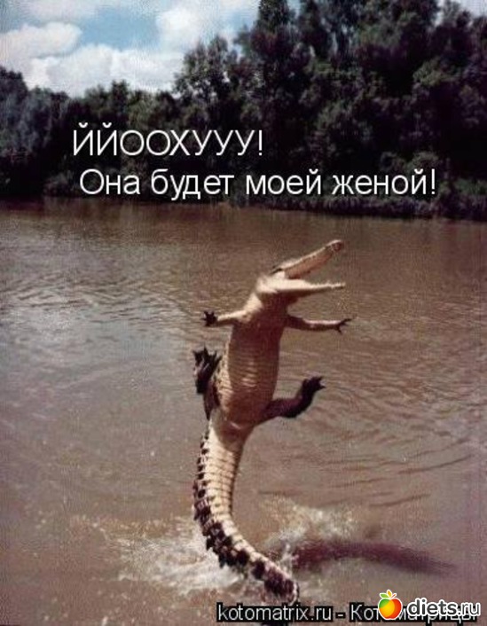 2 ����: ���������!