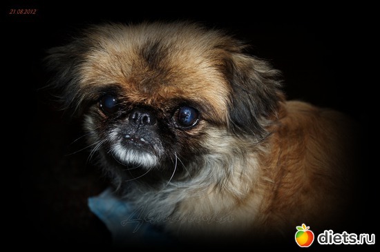 1 ����: ��� ������