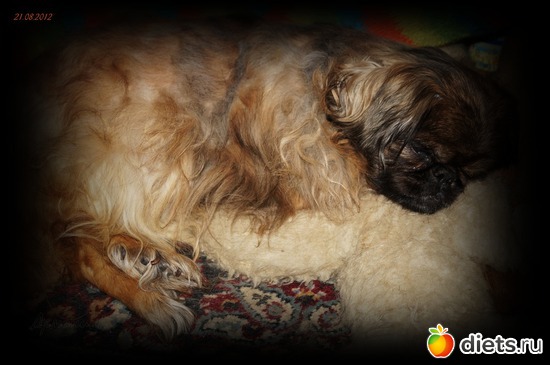 3 ����: ��� ������