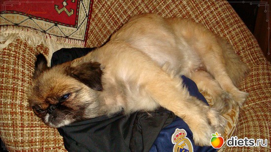 4 ����: ��� ������