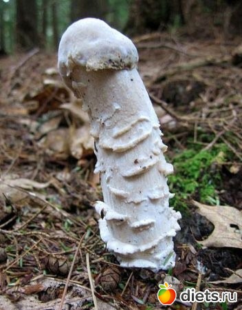 ���������!