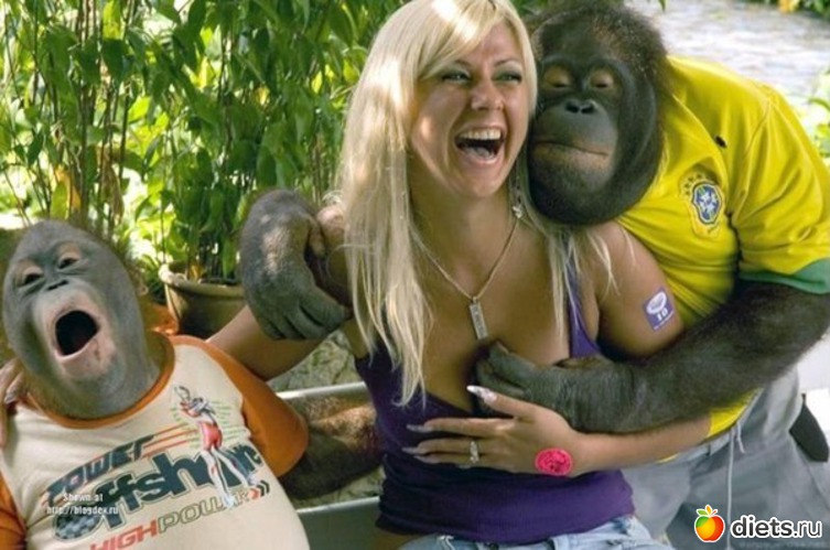 29 ����: ���������!