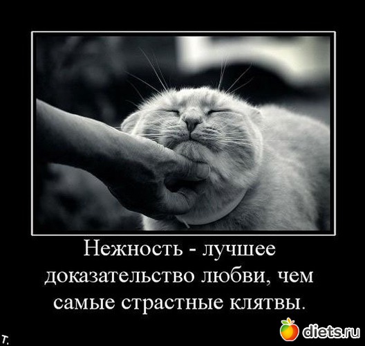 2 фото: Разное