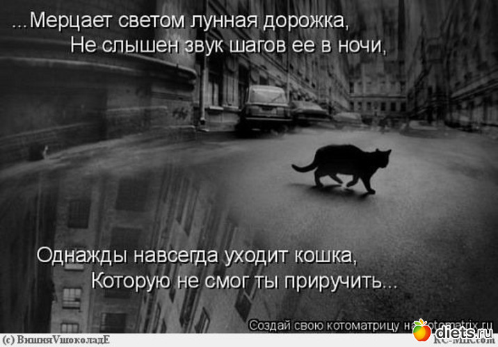 11 ����: ������