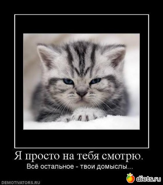 17 фото: Разное