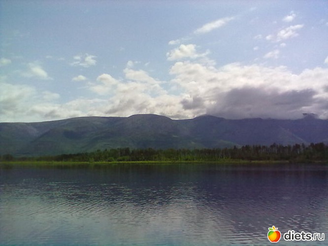 ������ �����, ������: ������