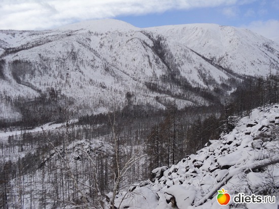 22 ����: ������