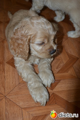 3 фото: Верный способ похудеть!