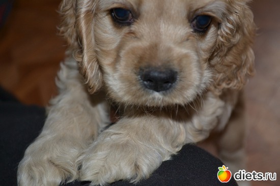 5 фото: Верный способ похудеть!