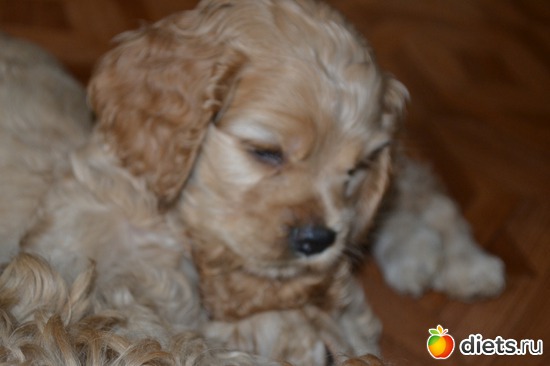 6 фото: Верный способ похудеть!