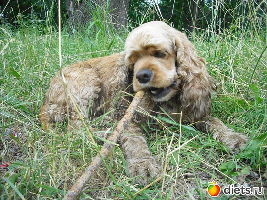 7 фото: Верный способ похудеть!