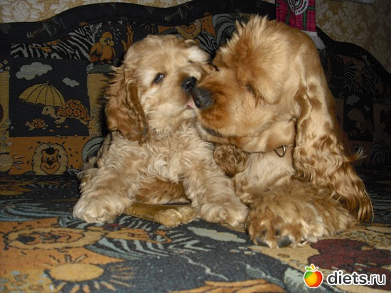 Феня с любимым сыночком., альбом: Верный способ похудеть!