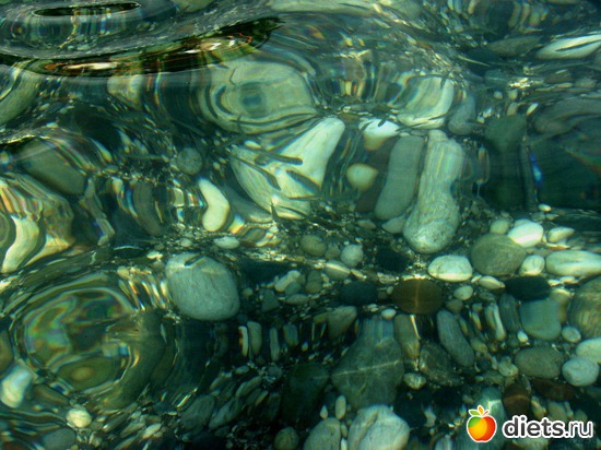 �� ������� � ����� ����� �������� ����������, ������: ������ 2008