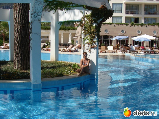 ����� � �������, ������: ������ 2008