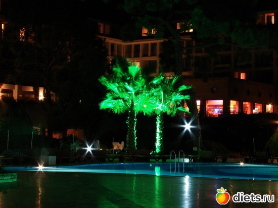 ����� ���� �������, ������: ������ 2008