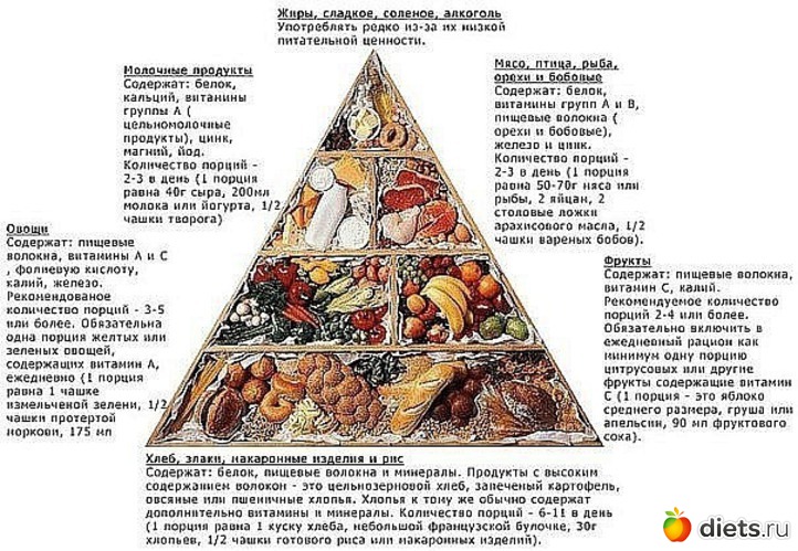 1 ����: �������� �������