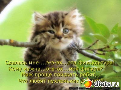 ���������)