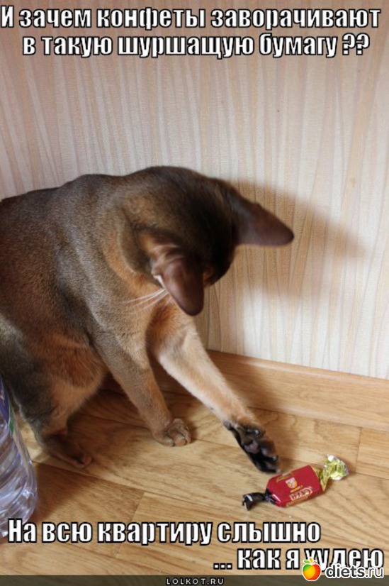 39 ����: ���������)