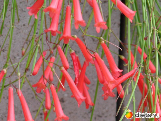 9 ����: ������ 2008