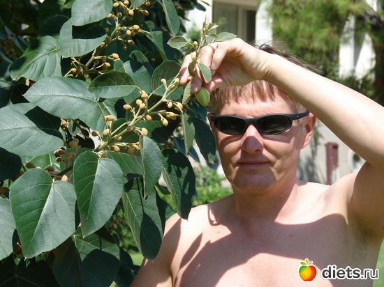 10 ����: ������ 2008