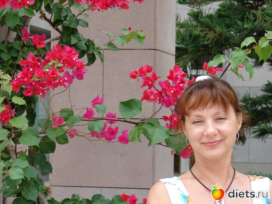 11 ����: ������ 2008