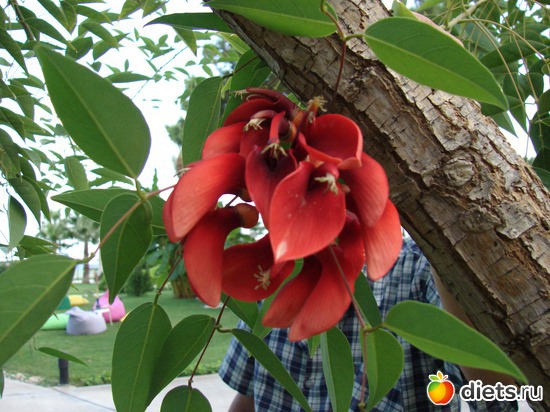 12 ����: ������ 2008