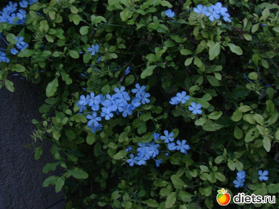 13 ����: ������ 2008