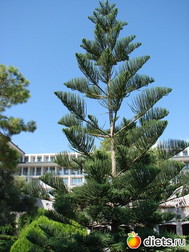 14 ����: ������ 2008