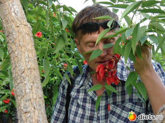 16 ����: ������ 2008