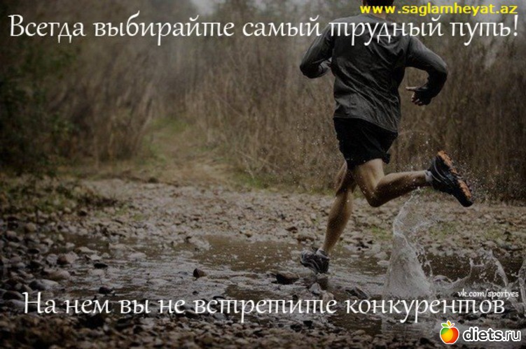 53 ����: ���������)