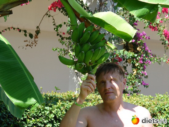 20 ����: ������ 2008