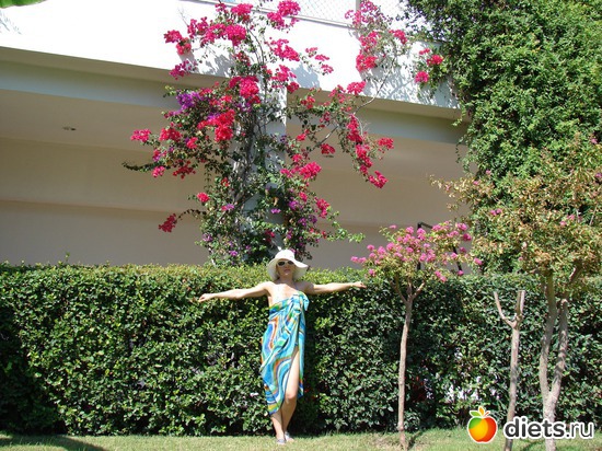 21 ����: ������ 2008