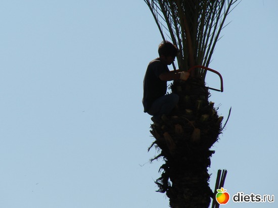 22 ����: ������ 2008