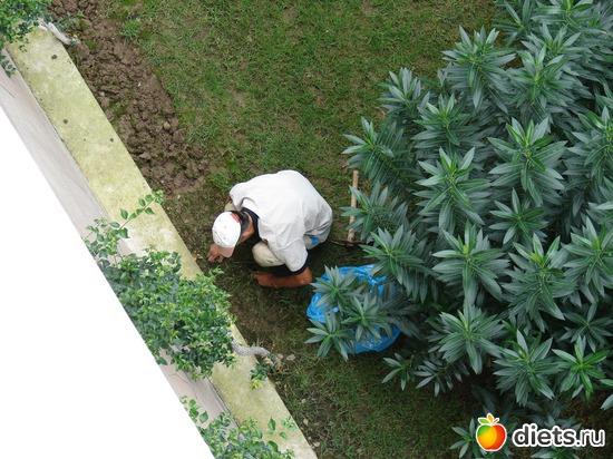 ���� �� �������� - ���-�� ������ ��� ��� �������, ������: ������ 2008