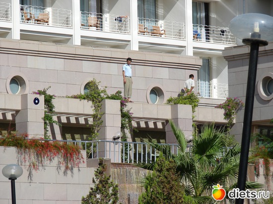 28 ����: ������ 2008