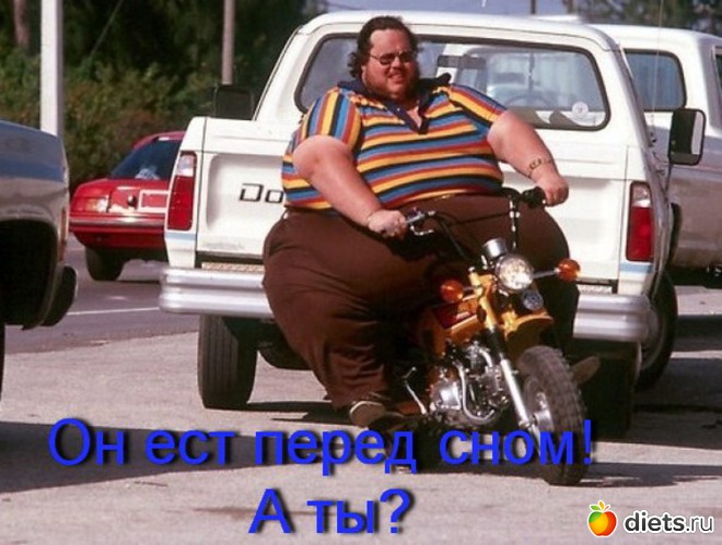 20 ����: ���������.