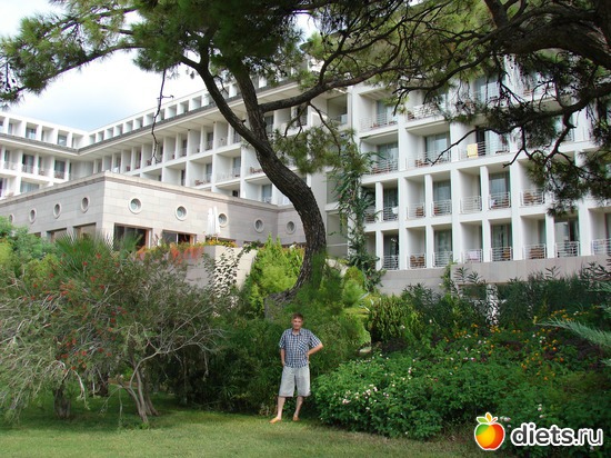 33 ����: ������ 2008