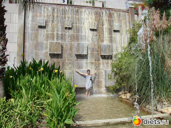 34 ����: ������ 2008