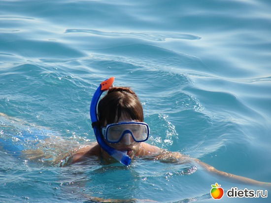 37 ����: ������ 2008