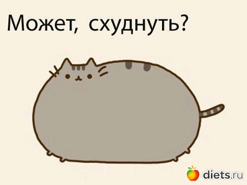 ���������.