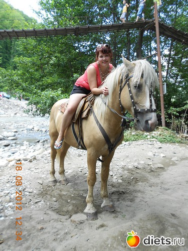 12 ����: ����� 2012