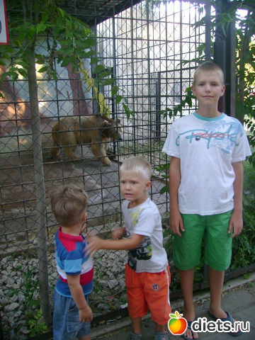 � ��������