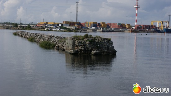 14 ����: ���������