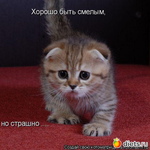 23 ����: ������