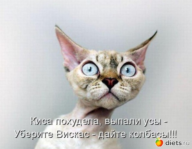 24 ����: ������