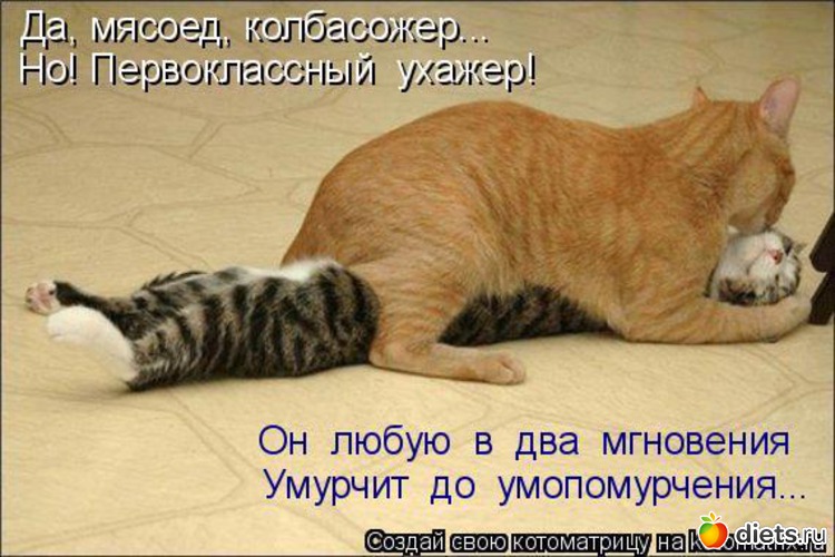 2 ����: ������