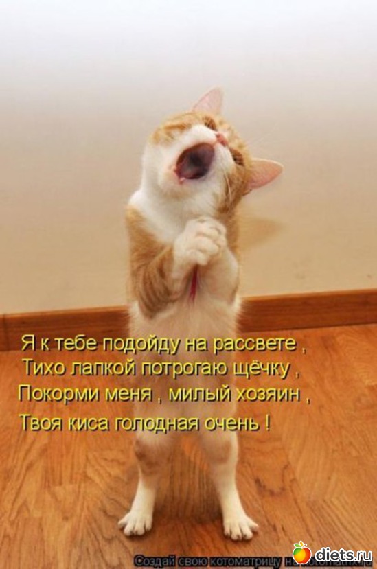 3 ����: ������