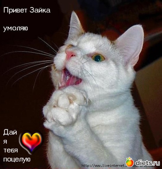 5 ����: ������