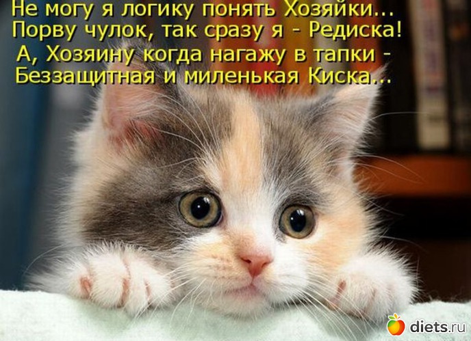 9 ����: ������