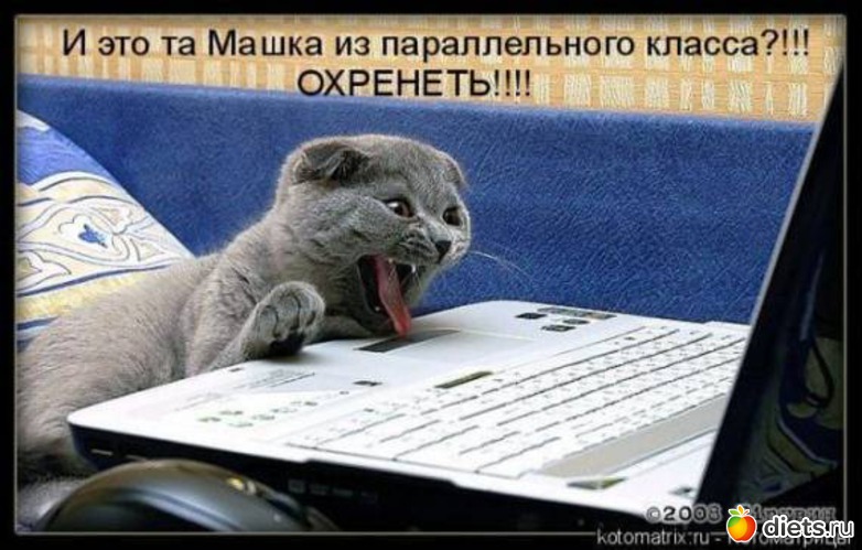 12 ����: ������